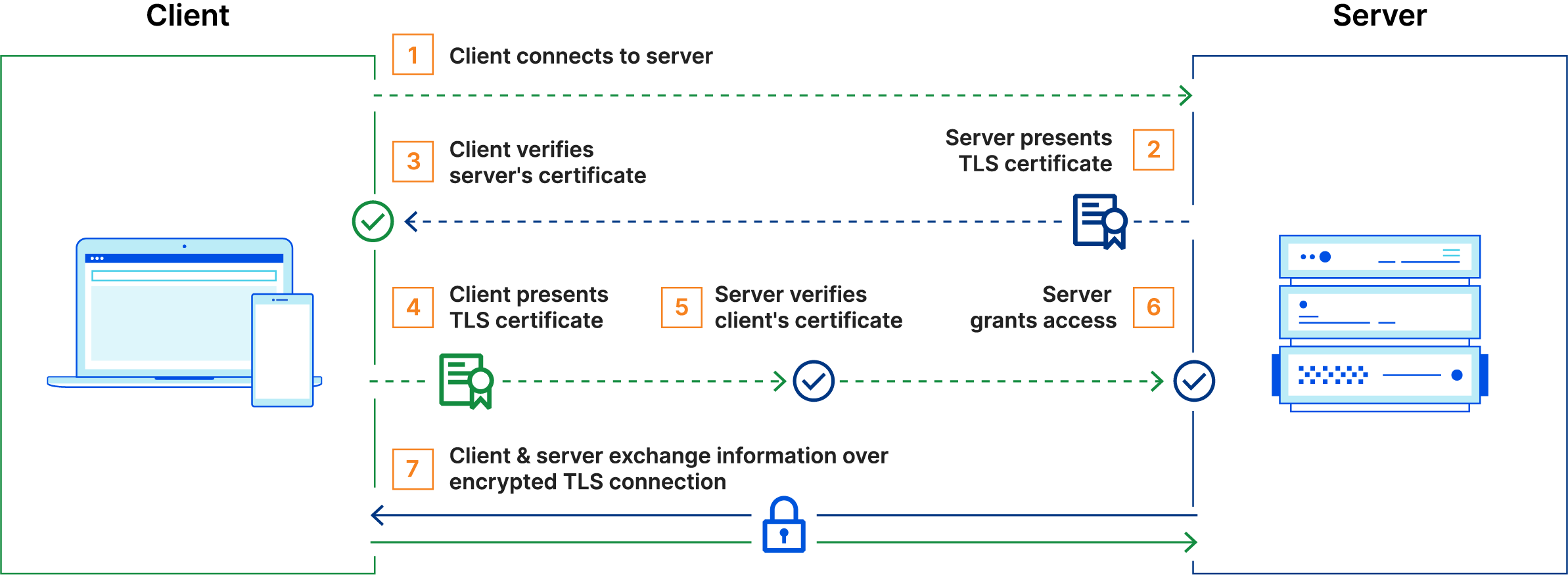 mTLS Connection Process