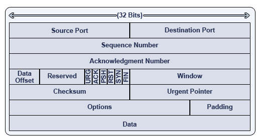 TCP Segment